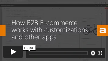 How B2B Ecommerce works with customizations and apps